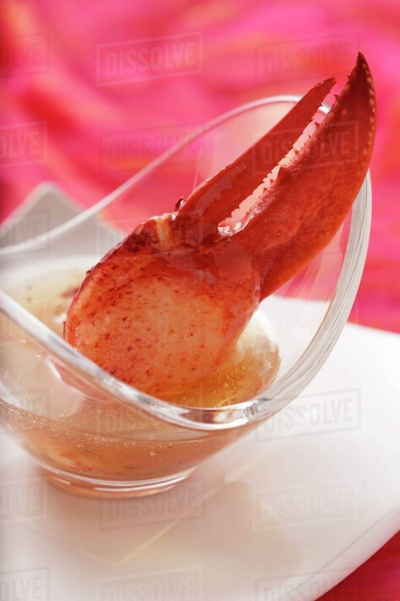 Cold lobster consomme with lobster claw Stock Photo Dissolve
