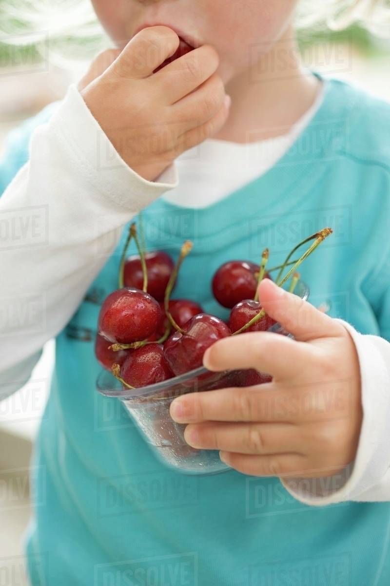 Child eating fresh cherries Stock Photo Dissolve