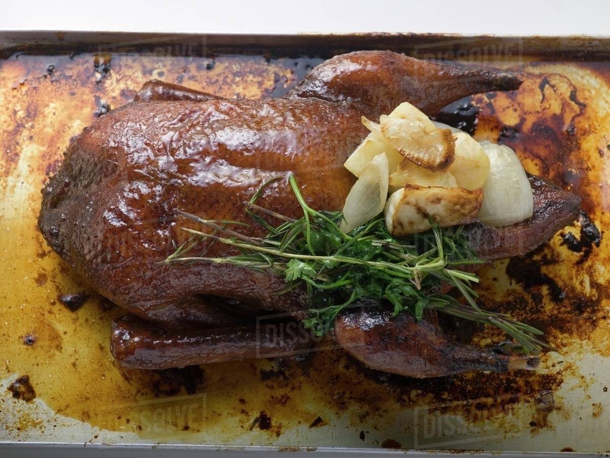 Crispy roast duck with stuffing (overhead view) Stock Photo Dissolve