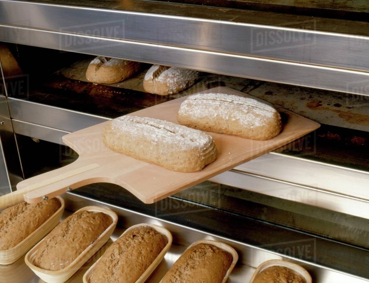 Loaves of bread being put into the oven Stock Photo Dissolve