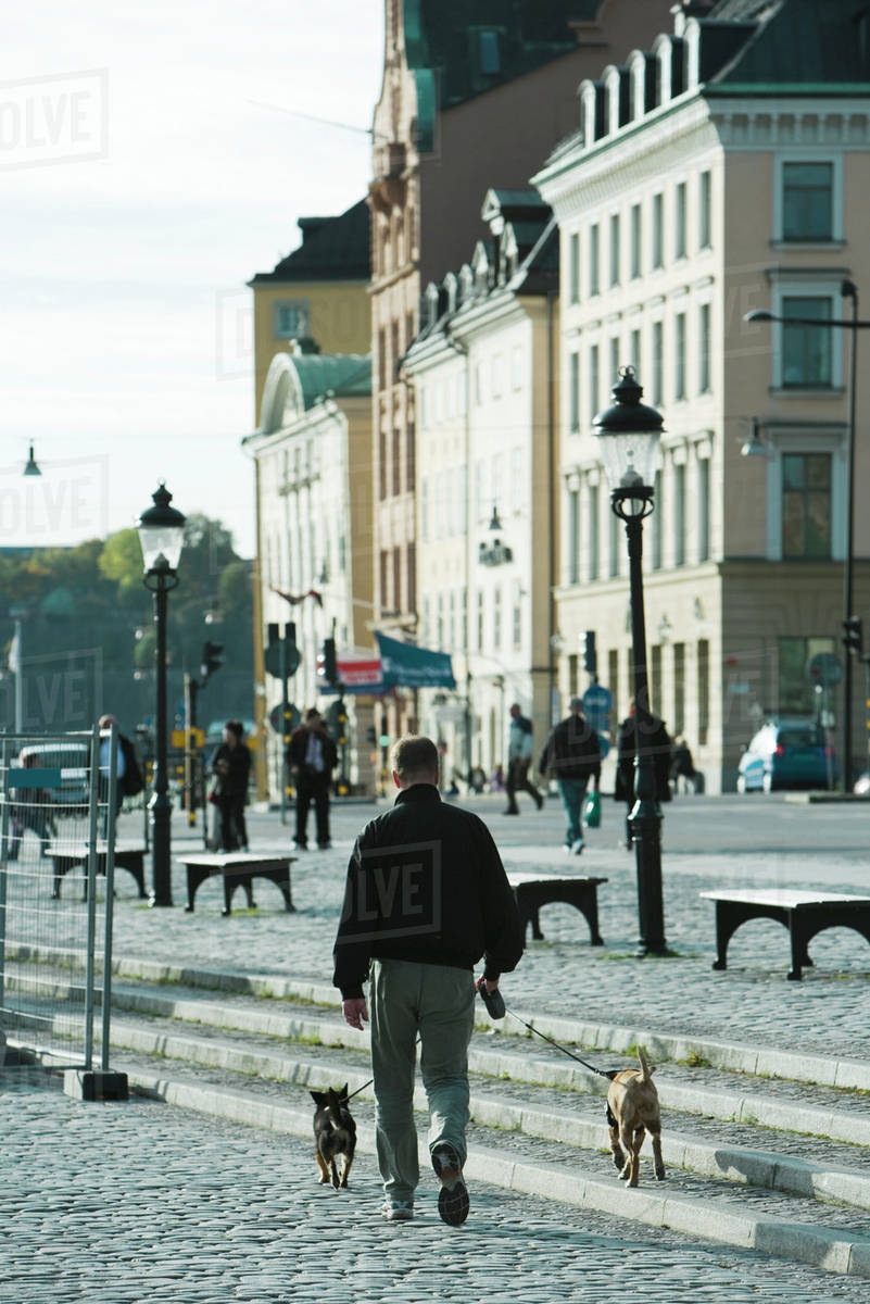 Sweden, Stockholm, man walking dogs on cobblestone steps Stock Photo