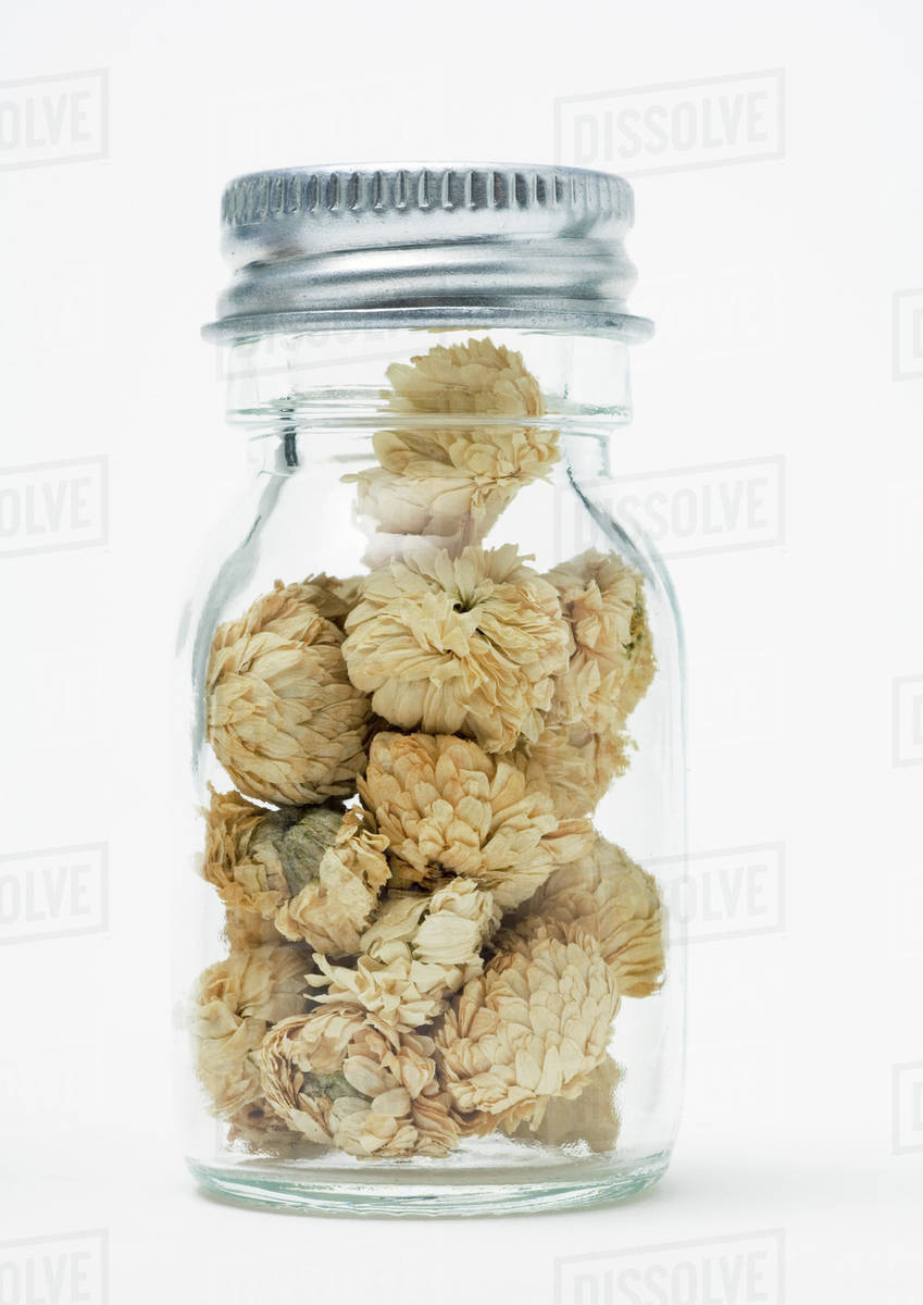 How To Dry Chamomile Flowers In The Oven Best Flower Site