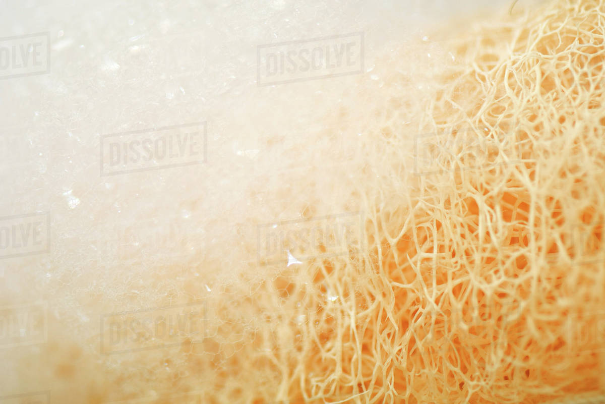 Soap suds on sponge, extreme closeup Stock Photo Dissolve