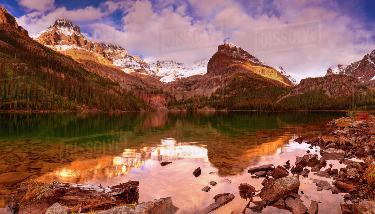 Snow-capped mountain peaks and forest reflected in a still green lake Royalty-free stock photo