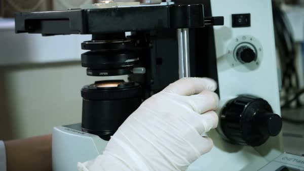Ebony girls in latex Stock photo laboratory tech with test tube of blood