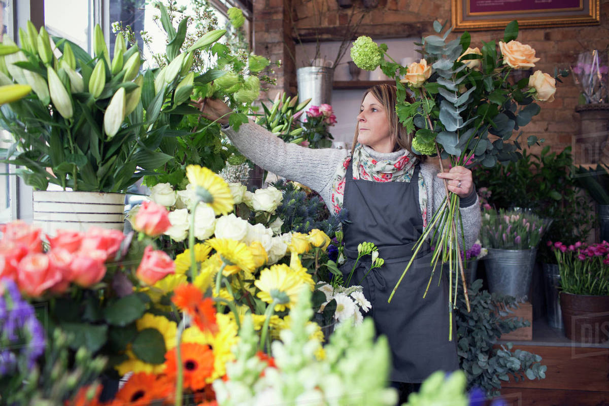 Female florist at work in shop Stock Photo Dissolve