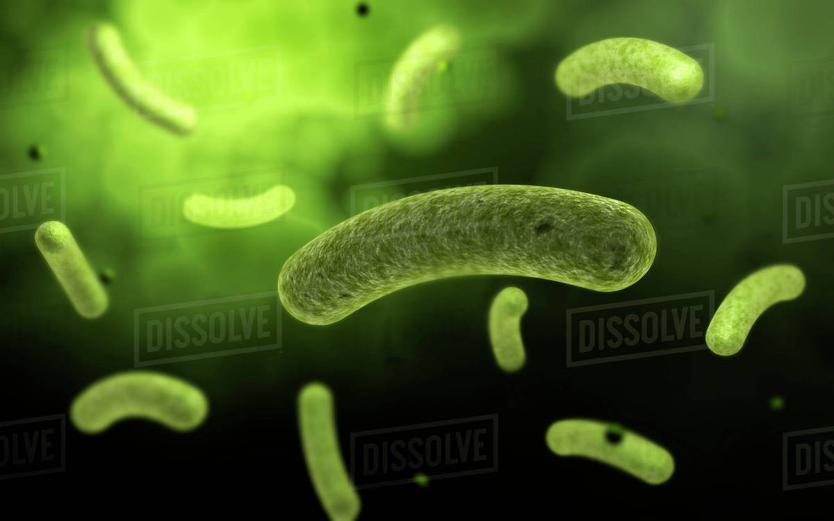 Conceptual image of common bacteria. Stock Photo Dissolve