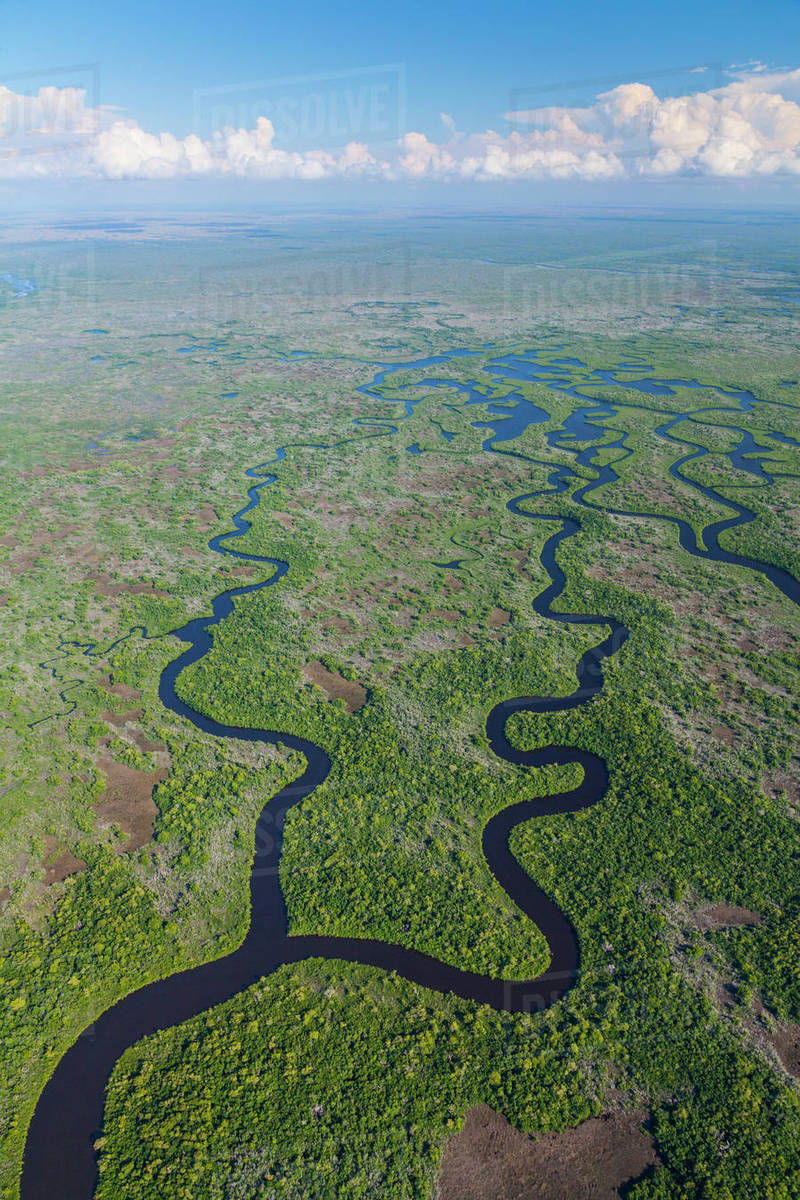 Aerial view over subtropical mangrove wetlands of the Everglades ...