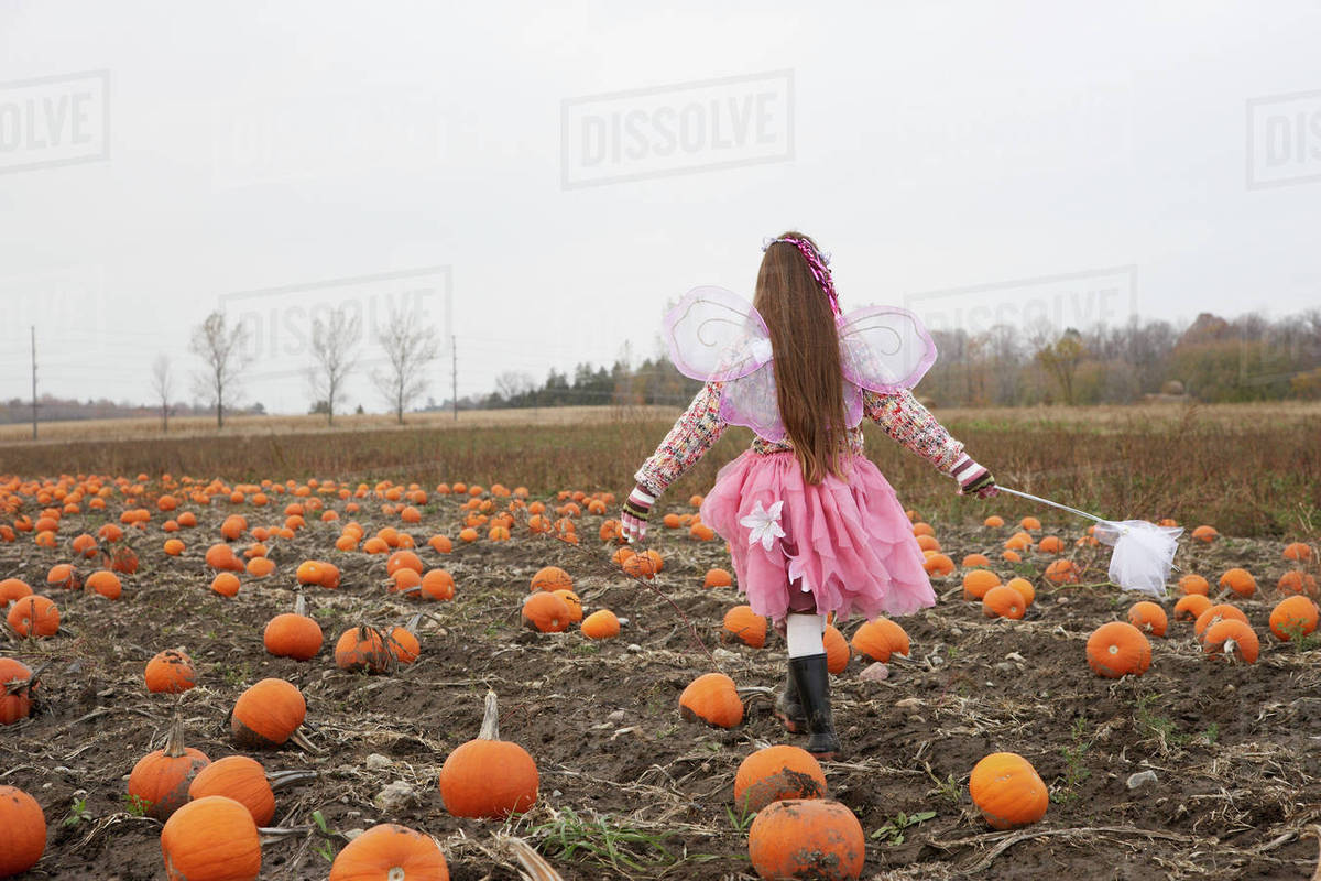 Girl dressed as fairy in pumpkin patch Royalty-free stock photo