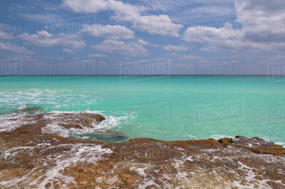 Beach, Cayo Largo, Canarreos Archipelago, Cuba Stock Photo Dissolve