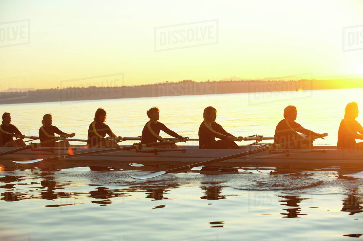 Team rowing boat in bay Stock Photo Dissolve