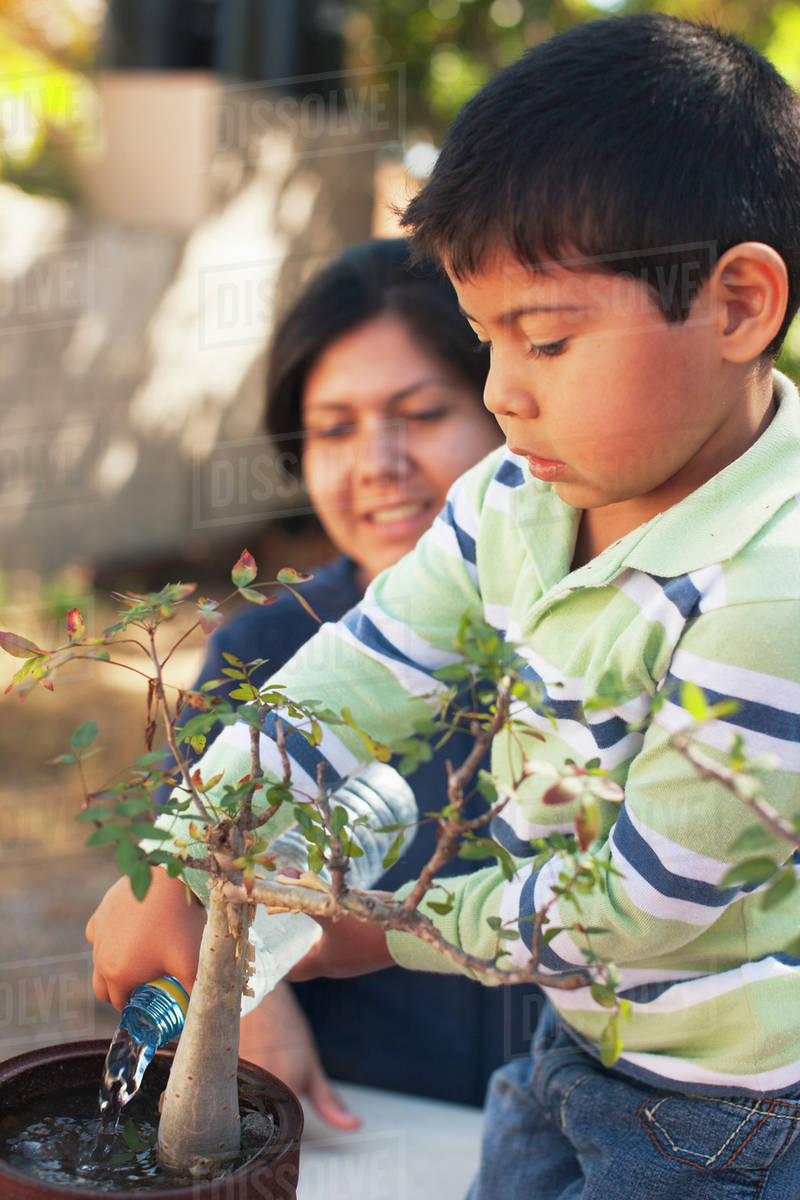 Hispanic mother and son gardening together Stock Photo Dissolve