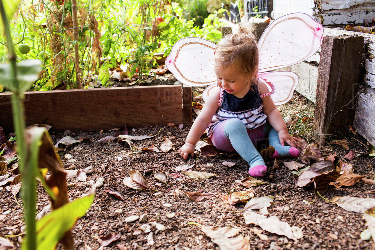 Caucasian baby girl wearing fairy wings in garden Royalty-free stock photo