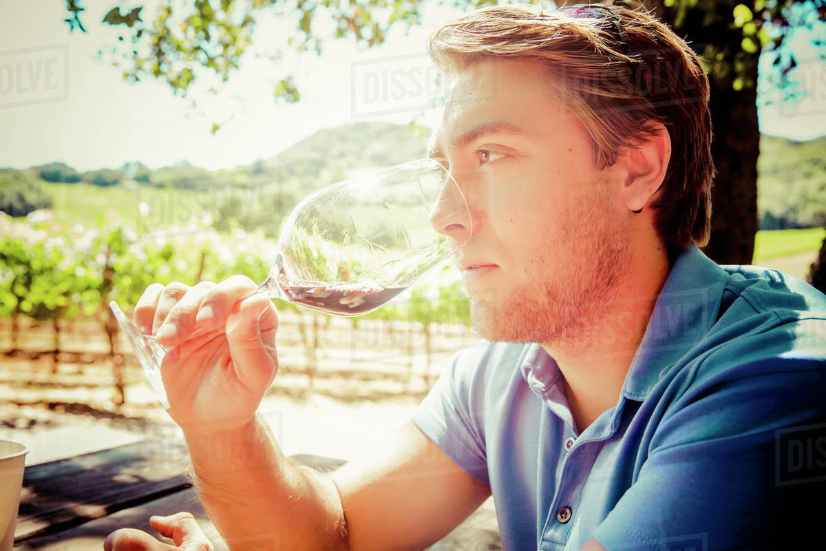 Caucasian man smelling wine in vineyard Stock Photo Dissolve