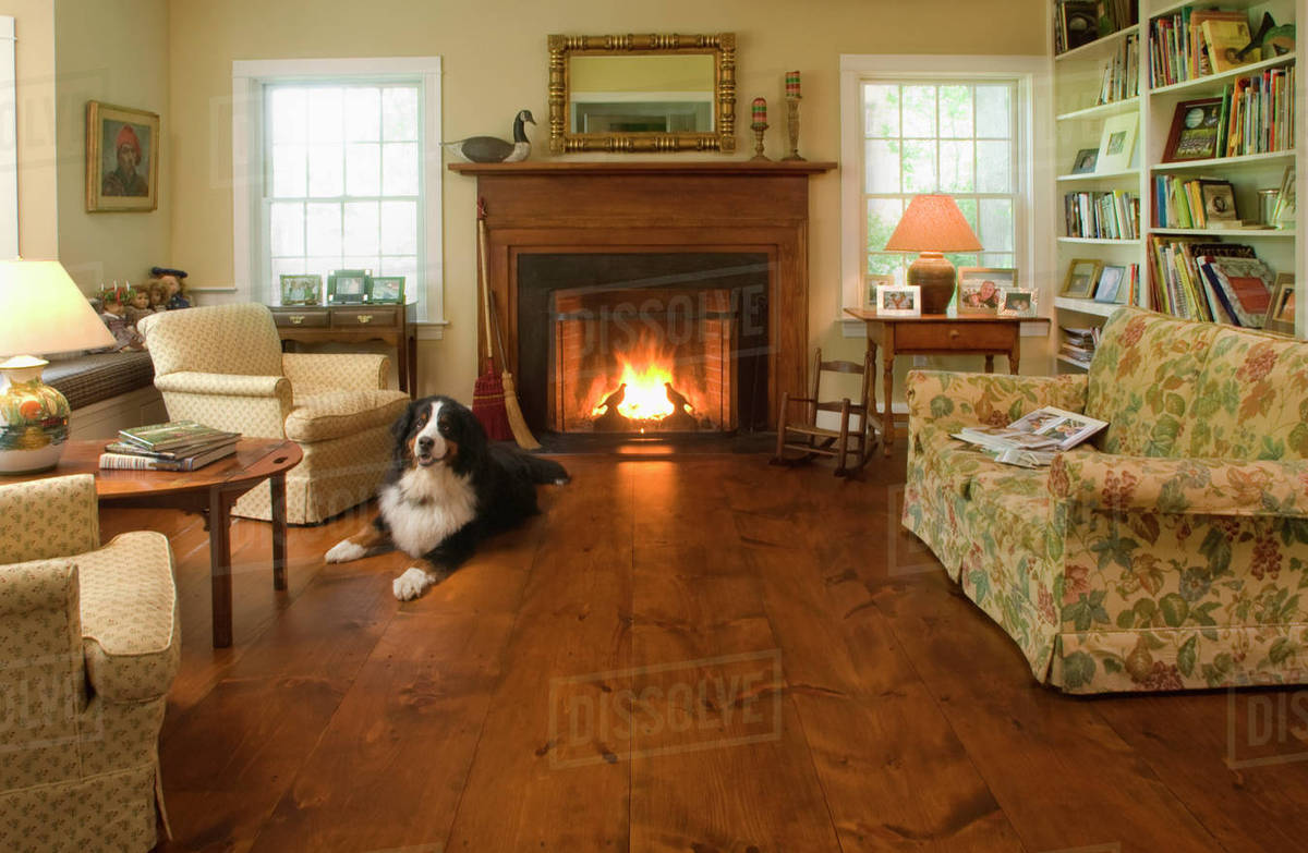 Living Room Ideas Pine Floor Floor Roma