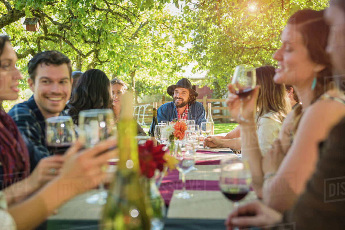 Friends drinking wine at party outdoors Stock Photo Dissolve