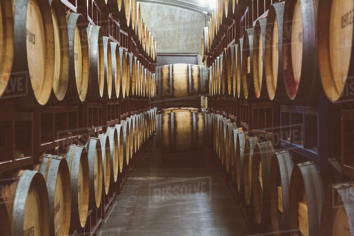 Wine barrels aging Stock Photo Dissolve