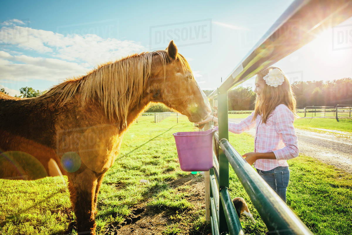 Caucasian girl feeding horse on ranch Stock Photo Dissolve