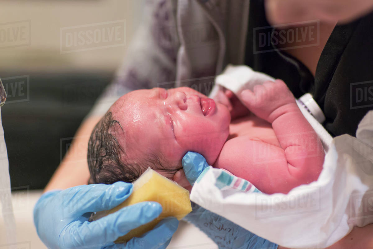Caucasian newborn baby boy having bath Stock Photo Dissolve
