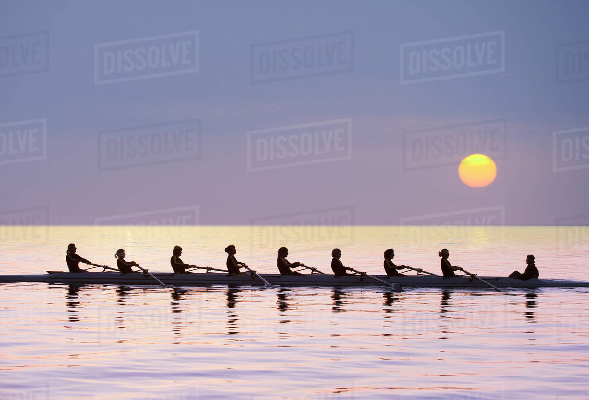 Silhouette of rowing team practicing on still lake Stock Photo Dissolve