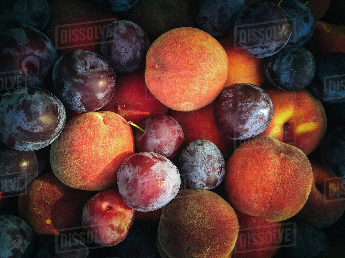 Close up of pile of fresh picked fruit Stock Photo Dissolve