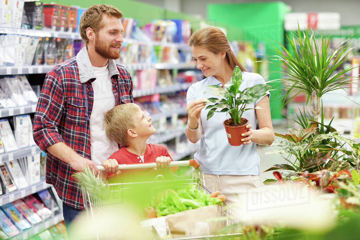 Modern family buying products and house plant in supermarket Stock