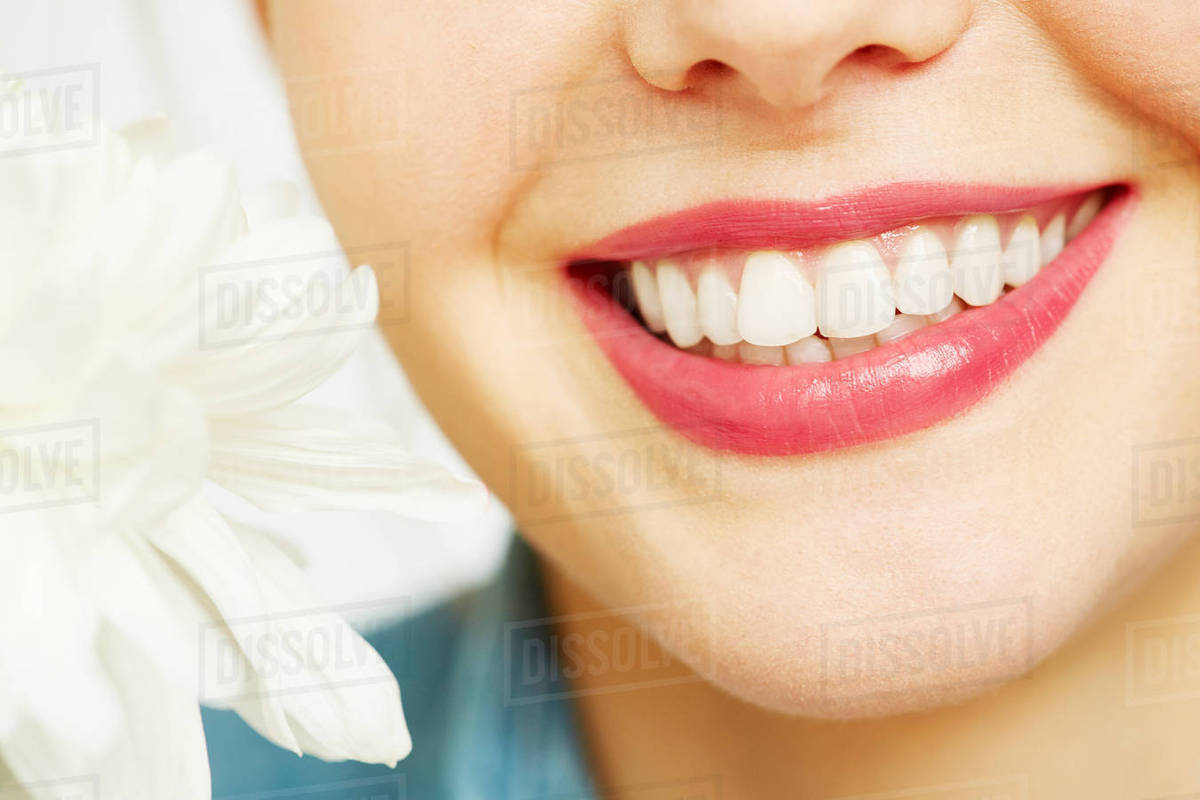 Closeup of female teeth and a flower Stock Photo Dissolve