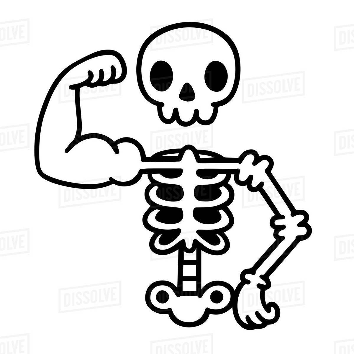 Illustration of a skeleton showing biceps Royalty-free stock photo