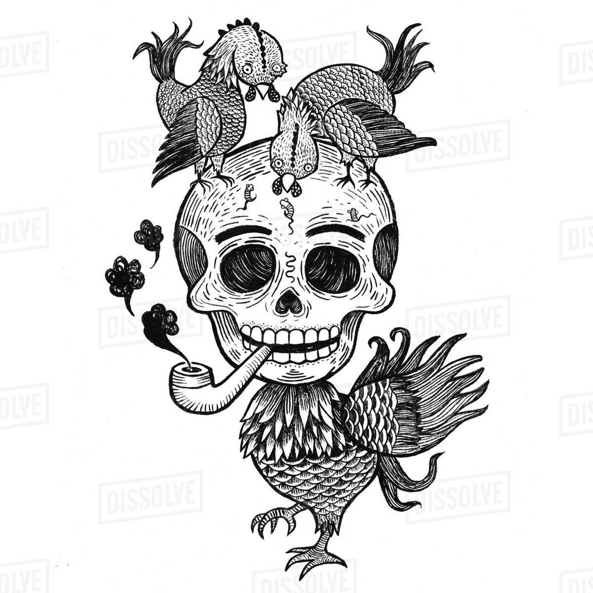 Illustration of chicken skull smoking against white background Royalty-free stock photo