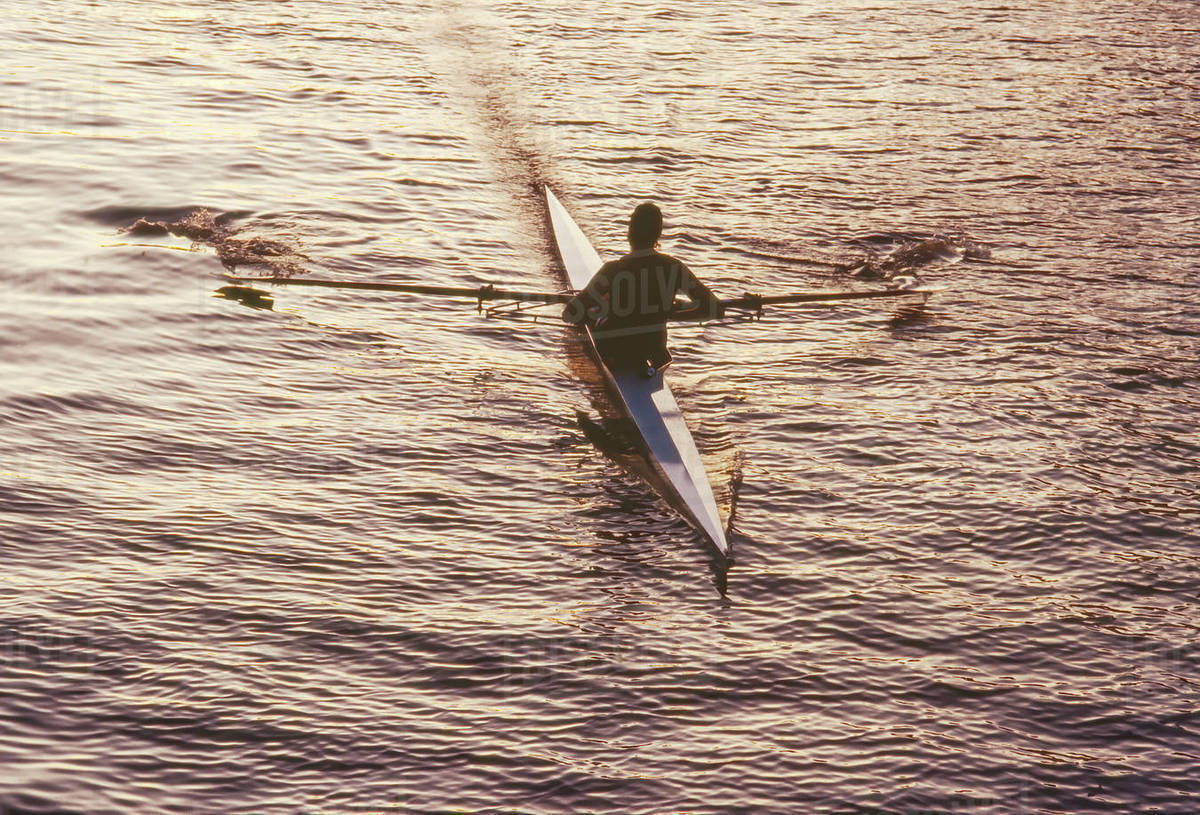 Rower in single skull rowing on calm water Stock Photo Dissolve