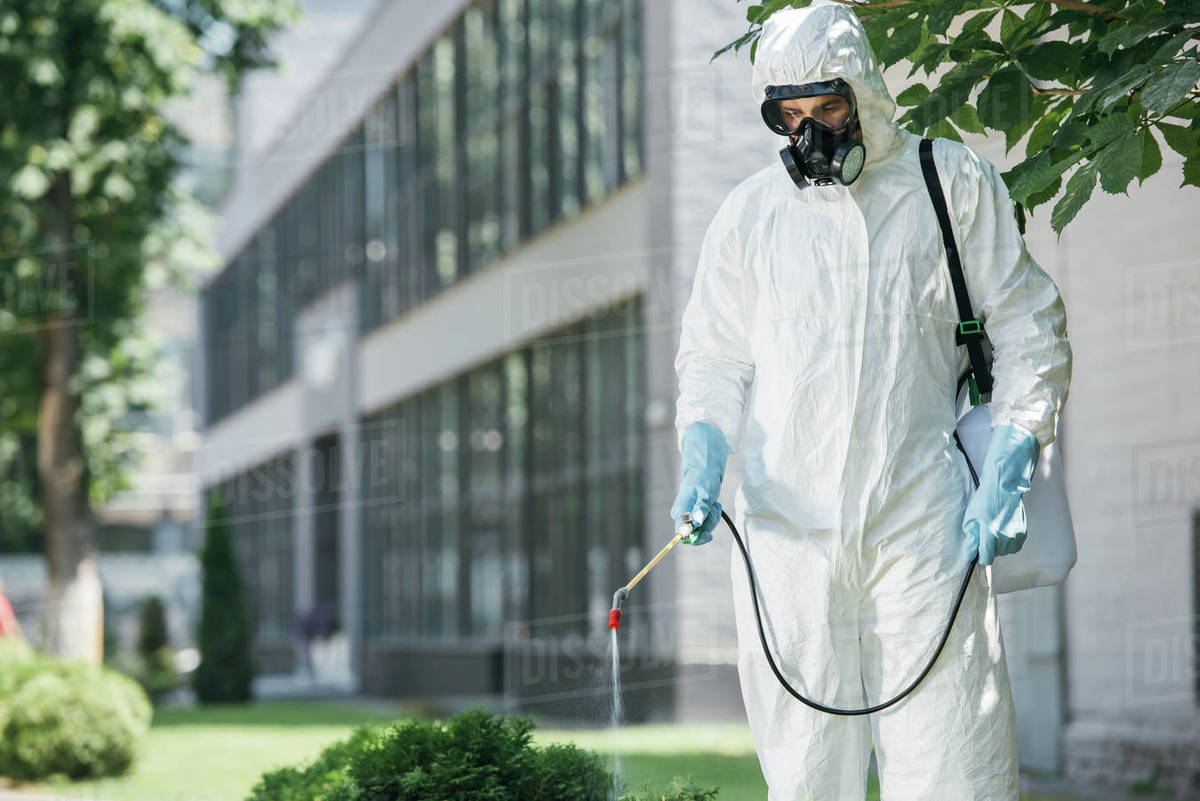 pest control worker in uniform and respirator spraying pesticides on