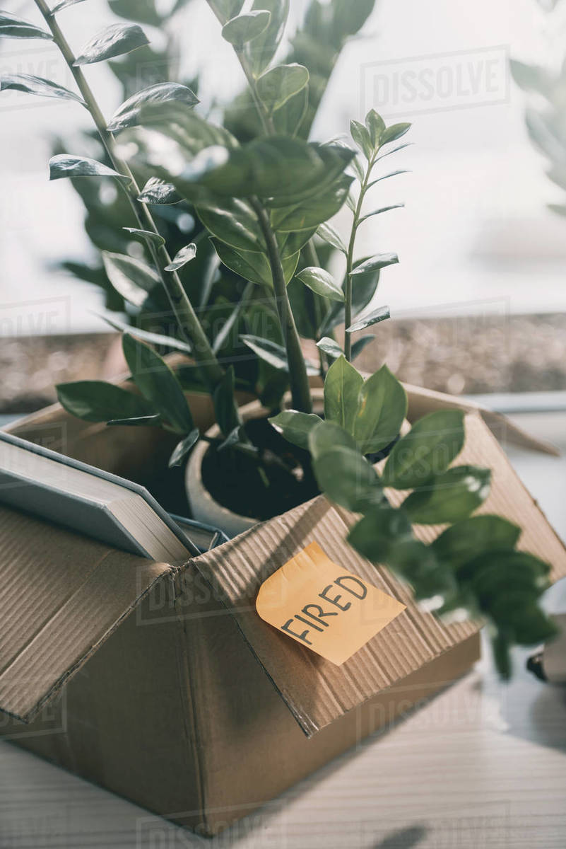 Cardboard box with books plant and sticky note with word fired in