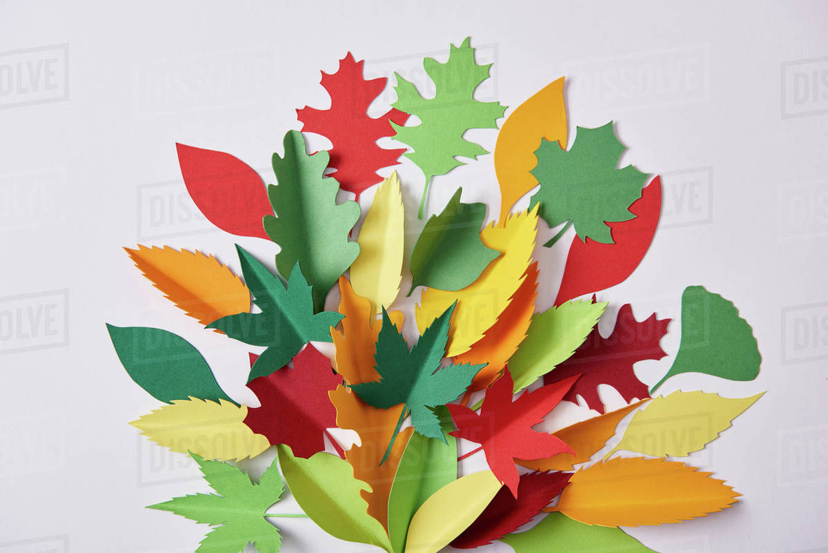 Flat lay with colorful handmade paper foliage arranged on white ...