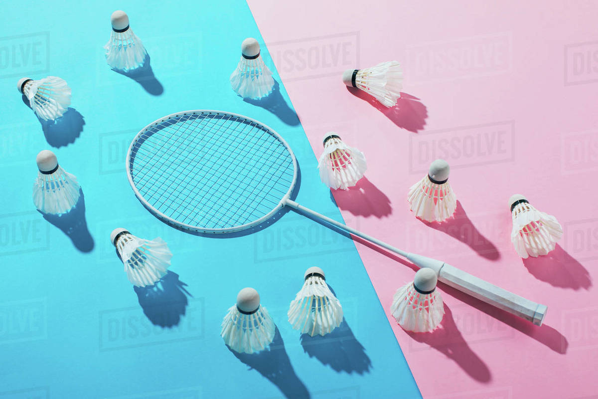 Essay on badminton in 100 words picture