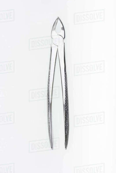 Close-up top view of dental tool bone rongeurs isolated on white ...
