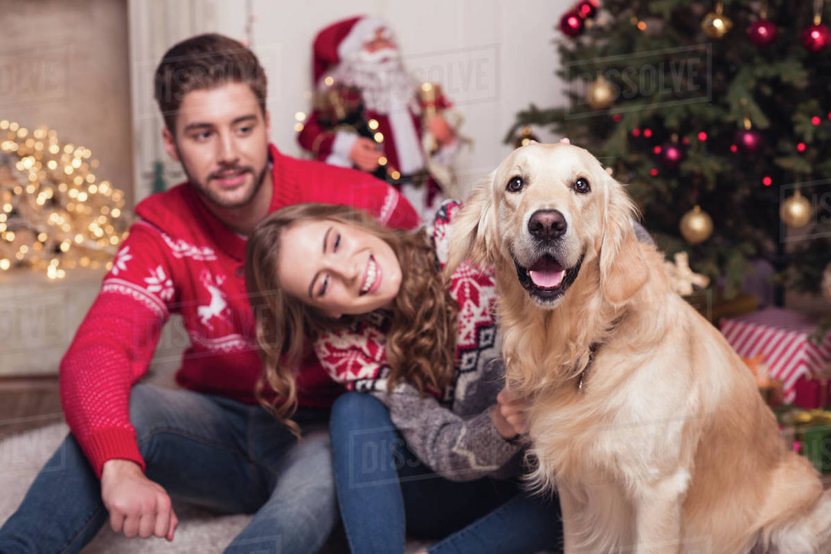 Happy young couple with golden retriever dog sitting together near