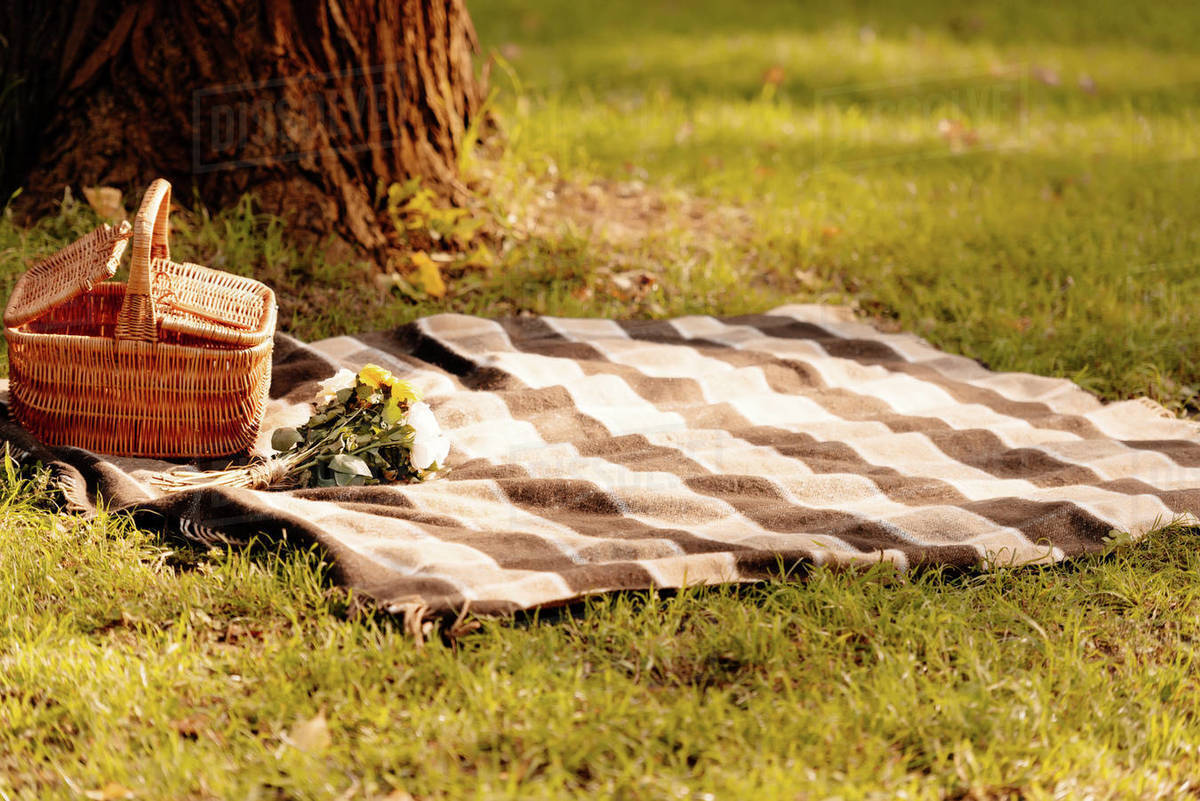 lawn blanket