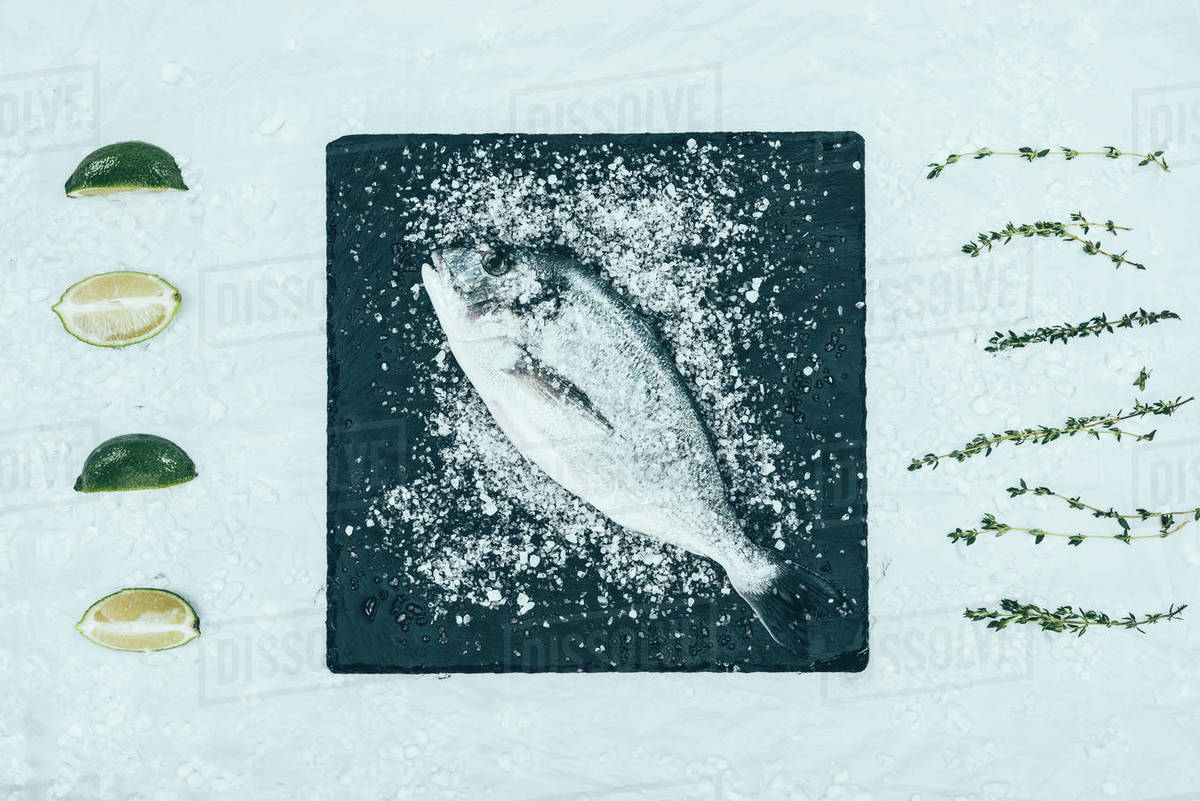 Top view of fresh raw dorado fish with on slate board and herbs with