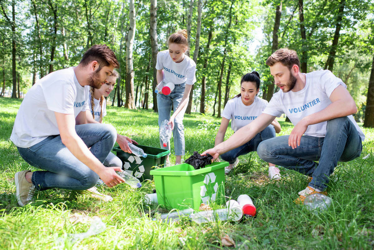Young volunteers with green recycling box cleaning park together