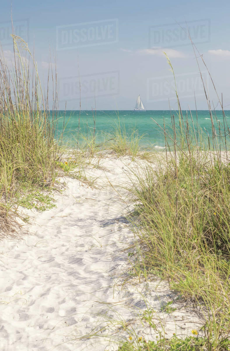 USA, Florida, Sarasota County, Path of white sand to sea Stock Photo Dissolve USA, Florida, Sarasota County, Path of white sand to sea Stock Photo Dissolve