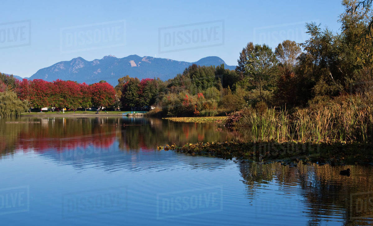 Trout Lake and mountains, Vancouver, British Columbia, Canada Stock