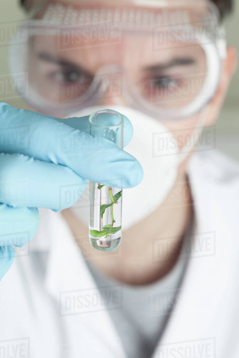 Scientist looking at plant sample in test tube - Royalty-free Stock ...