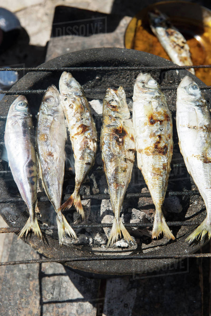 Closeup of sardines on a barbecue Stock Photo Dissolve