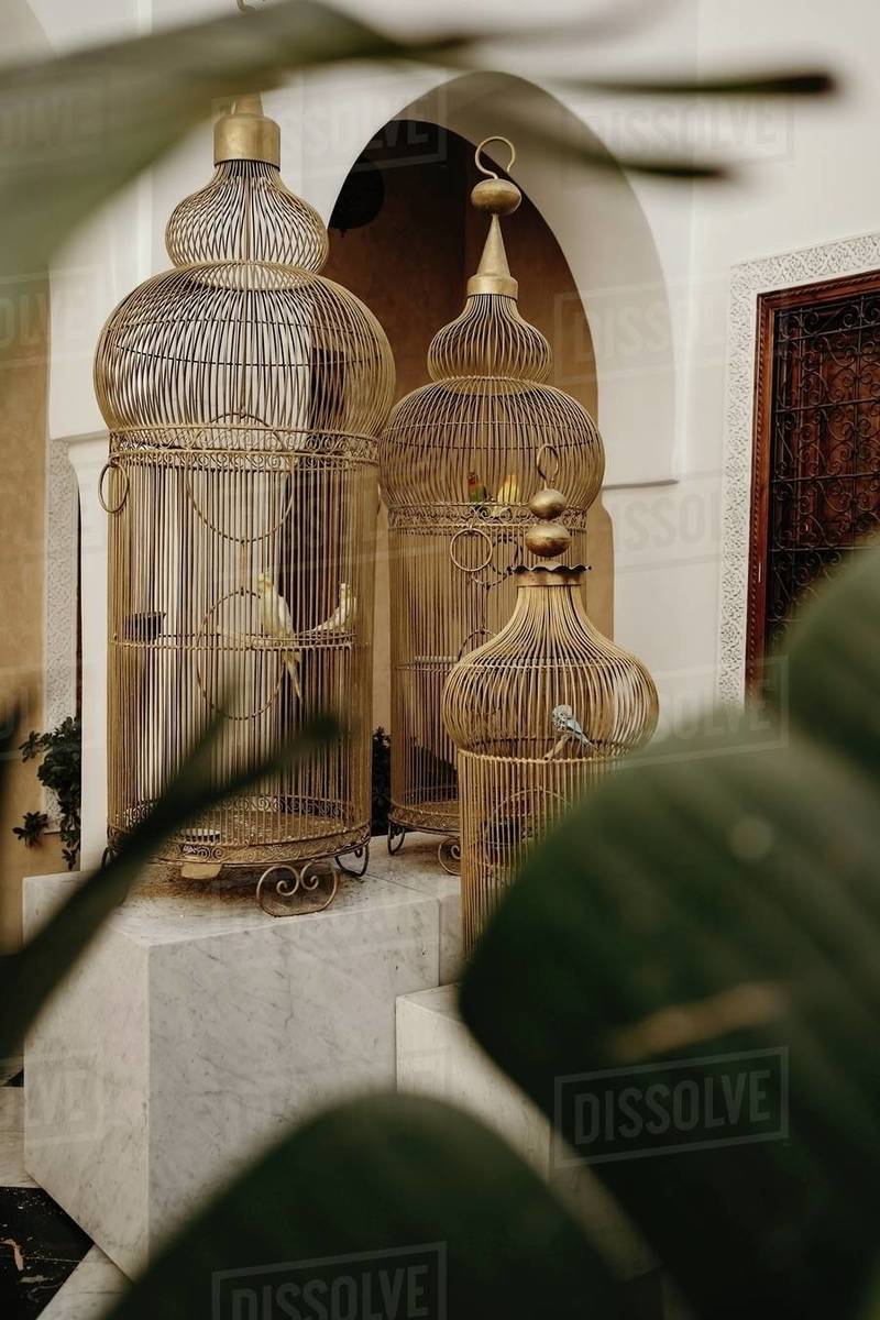 Image showcasing Elegant interior in traditional oriental style with vintage bird cages ...