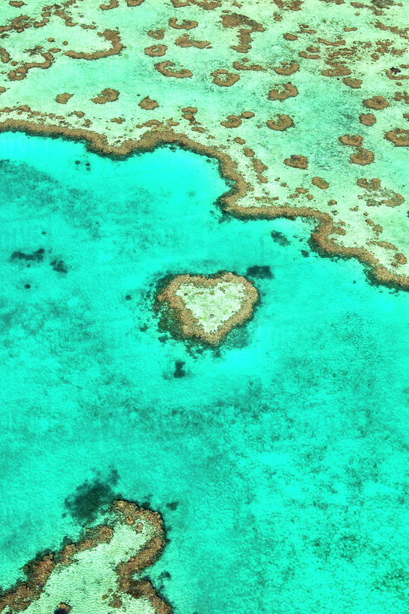 View Of Heart Reef A Unique Coral Formation Located In The Great Barrier Reef Queensland Australia Stock Photo Dissolve