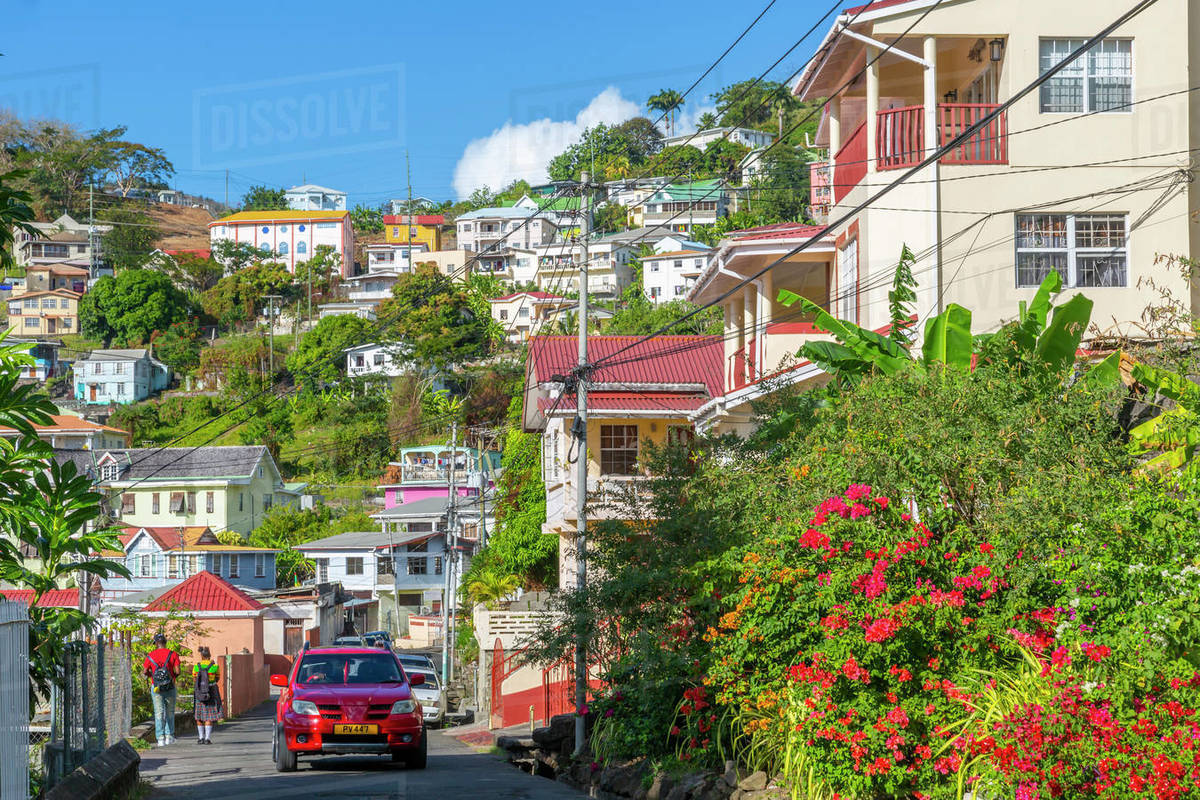 View of colourful houses that overlook the Carenage of St. George's, Grenada, Windward Islands, West Indies, Caribbean, Central America Royalty-free stock photo