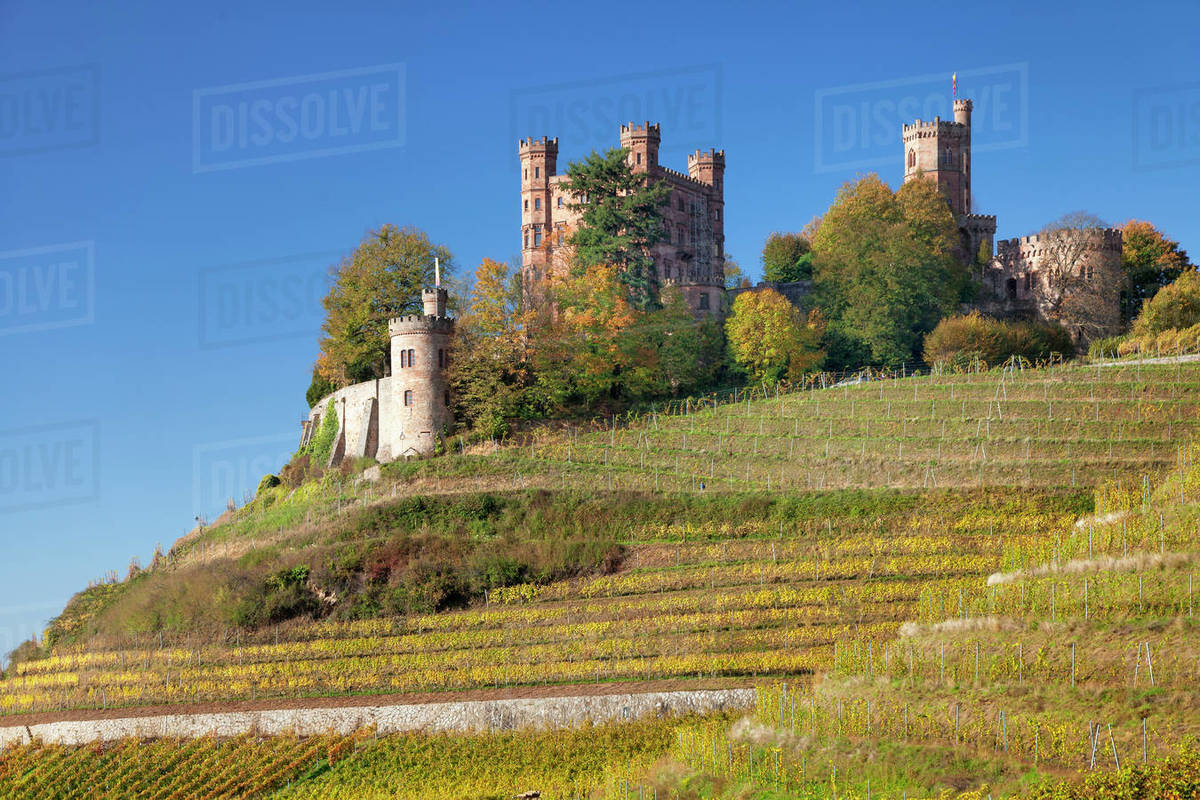 Ortenberg Castle and vineyards in autumn, Offenburg, Black Forest, Baden-Wurttemberg, Germany, Europe Royalty-free stock photo
