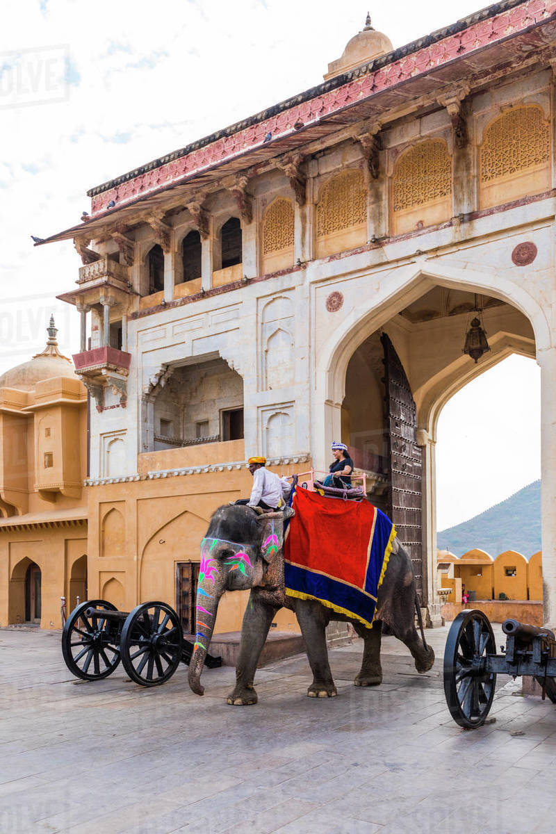 Elephants walking through the entrance gate at Amer (Amber) Palace and Fort, UNESCO World Heritage Site, Amer, Jaipur, Rajasthan, India, Asia Royalty-free stock photo