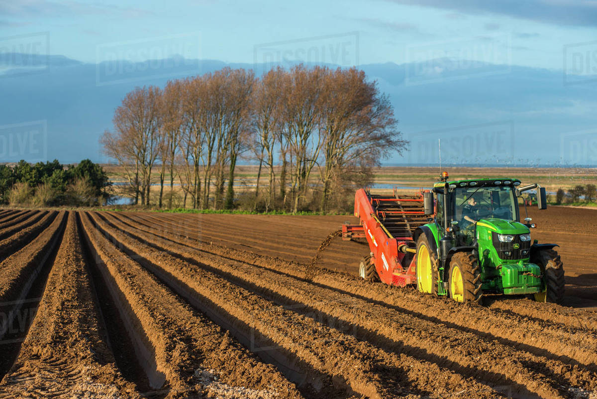 Rural landscape, tractors ploughing and sowing fields in early Spring time at Burnham Overy, Norfolk, East Anglia, England, United Kingdom, Europe Royalty-free stock photo