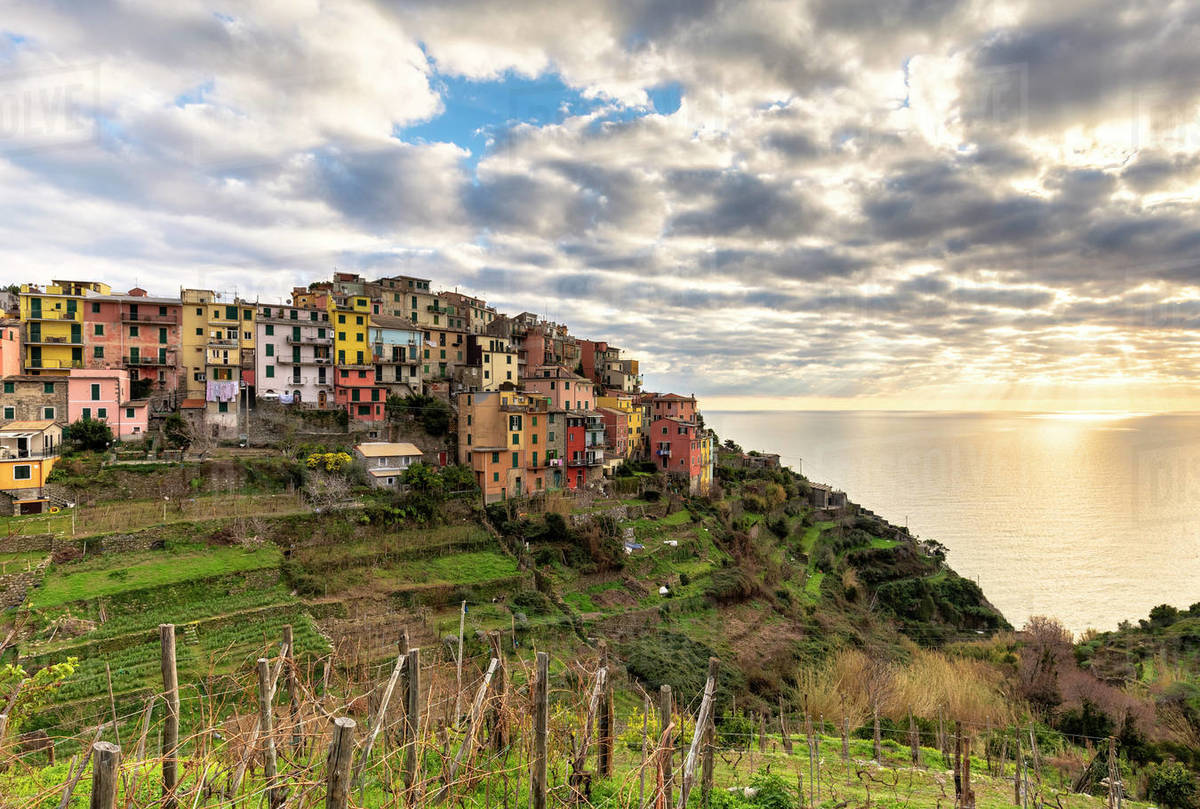 Colourful houses of Corniglia at sunset, Cinque Terre, UNESCO World